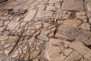 Stones on which Jesus walked-0656.jpg